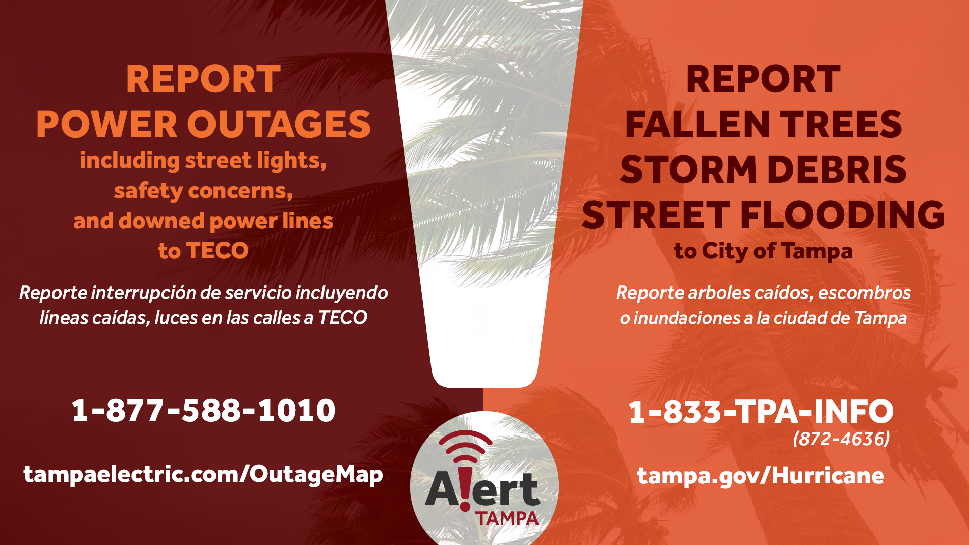 City of Tampa on Twitter "As you return home, stay alert for these
