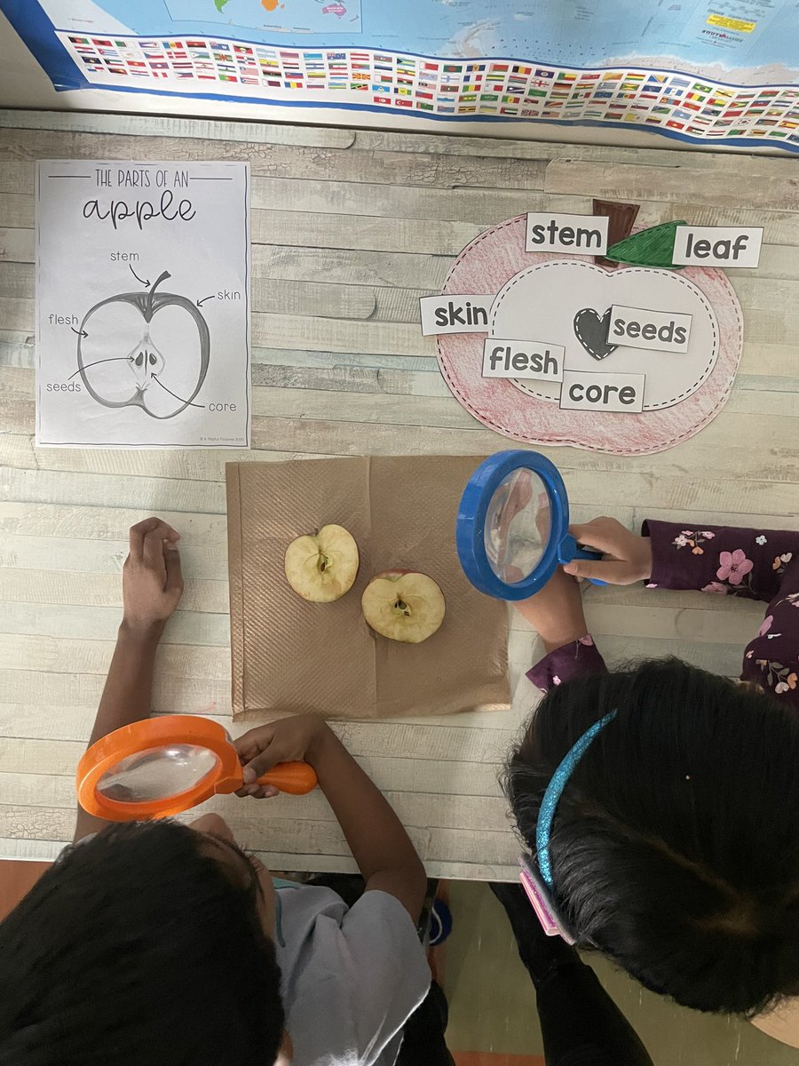 Mrs_Grant_'s tweet photo. All about APPLES in K3! 🍎🍏 https://t.co/Udy1Hdk423
