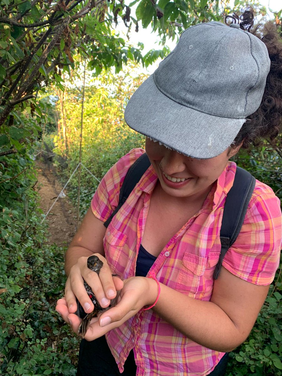 Just finished my @CIEEICEE Living Data Project #datarescue #internship funded by @NSERC_CRSNG on Mandarte Island song sparrows! check it out on my blog! sites.google.com/alumni.usp.br/…