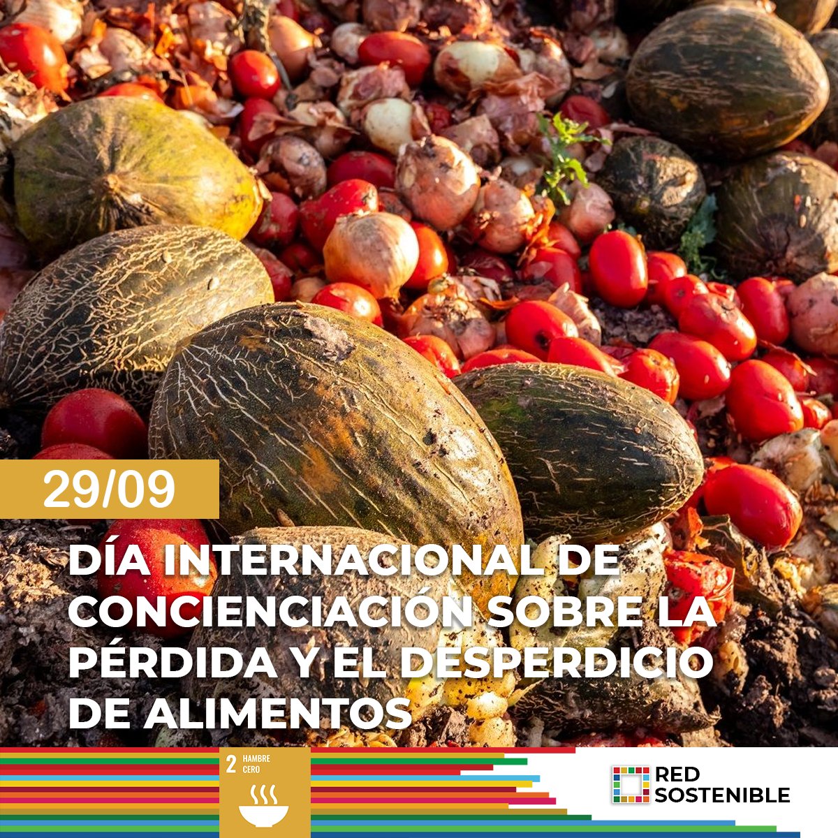 redsostenibleok's tweet photo. Cada año, la campaña se centra en un lema para desarrollar y en este año 2022 es el siguiente: "Pon fin a la pérdida y el desperdicio de alimentos. Por las personas. Por el planeta". #ODS2 https://t.co/s4LxuYPCRh