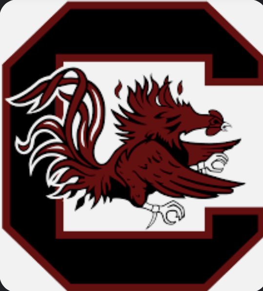 #AGTG Extremely Blessed and Honored to receive an offer from the University of South Carolina #Gamecocks @WrightJody @tjkelly17 @GoSaraland @GamecockFB @Brett_Boutwell @coachTigg @RyanMWms @BenThomasPreps @AL6AFootball @PrepRedzoneAL
