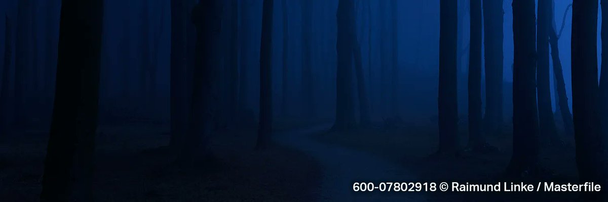 Masterfile's tweet image. The color black may forever be linked with fashion, but it’s also the color of darkness and grief, of night and monsters. In our shared prehistory, things that lurked unseen in the darkness, like enemies, predators and the landscape itself, scared us: buff.ly/3ULrNVu