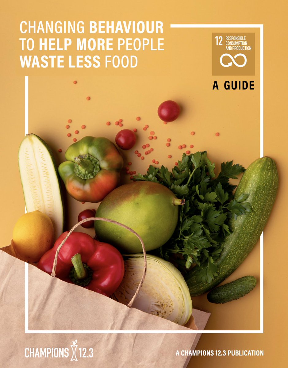 UNEP_NYO's tweet photo. At @FAO &amp; @UNEP’s global #FLWD event, Head of UNEP NYO Ligia Noronha says reducing food loss can only be achieved through collaboration. Governments, businesses, &amp; NGOs can address the interlinked food and climate crises together. 
Read our Consumer Guide➡️https://t.co/lbBg4Ig2DT https://t.co/MvSw8X4Clm