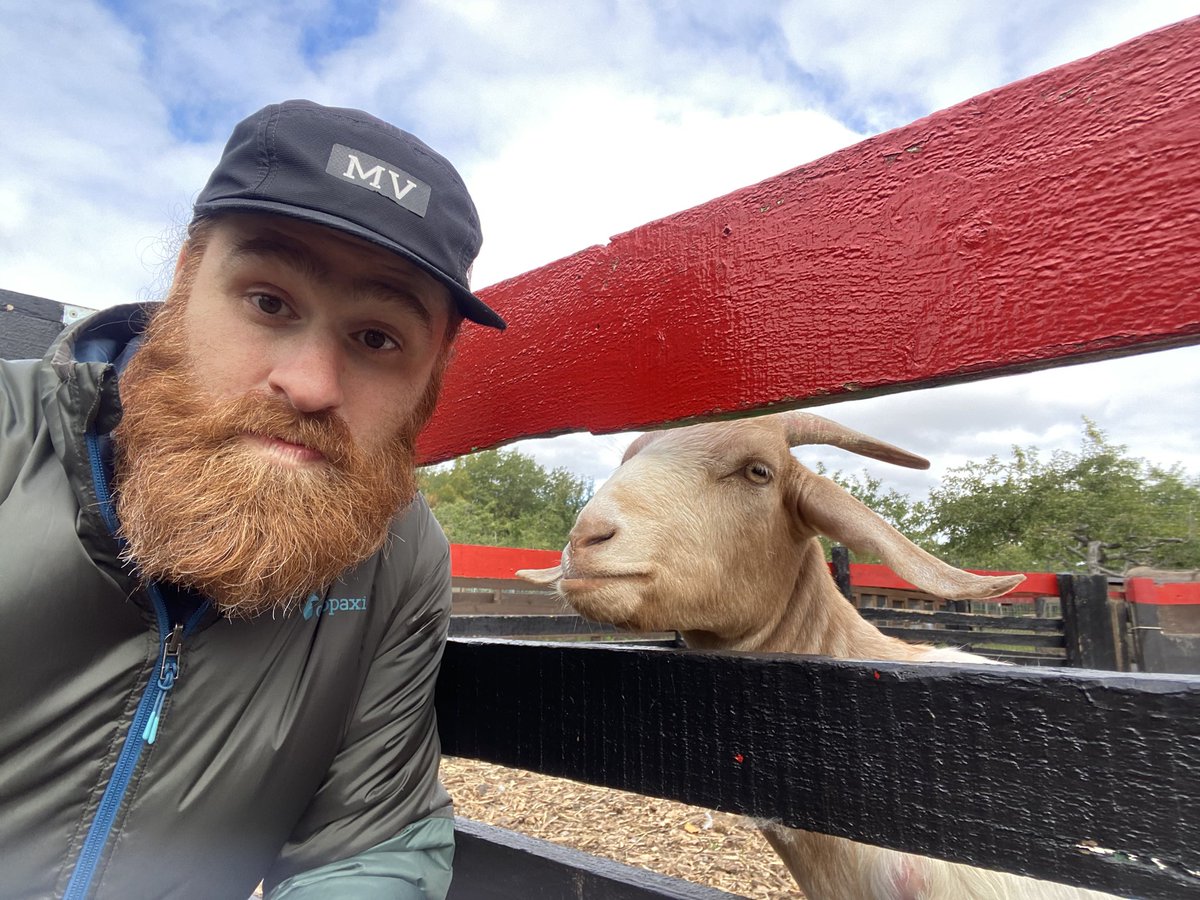 Sami Zayn tweet media