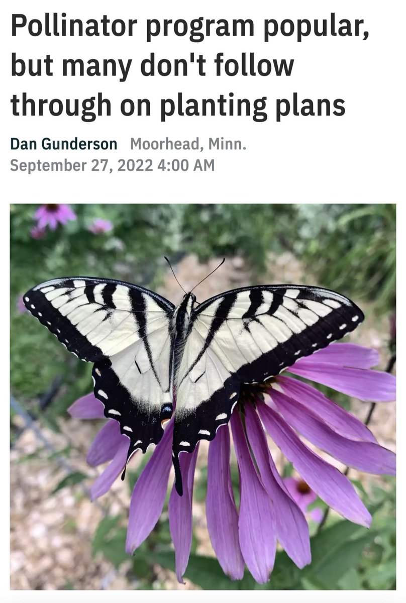 Minnesota is not the only place giving incentives to plant native, check your local area! mprnews.org/story/2022/09/…