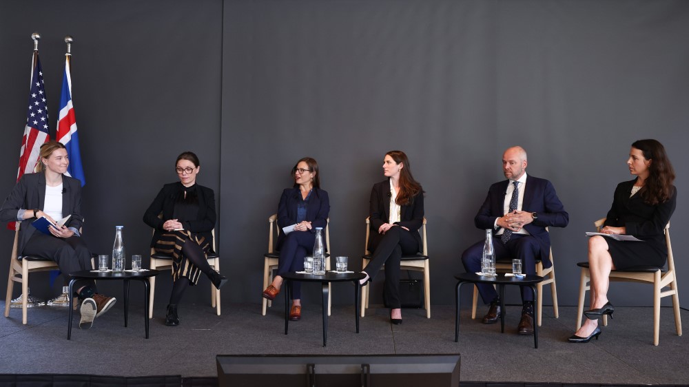 NREL_MechTherm's tweet photo. Geothermal lead Amanda Kolker represented @NREL at the US-Iceland Clean Energy Summit last week, highlighting the untapped potential of #geothermal in the US & opportunities for cooperation with Iceland's experts. Thank you for having us @ACEnergy @IcelandInUS! #OurClimateFuture https://t.co/OO6JUKvFTs