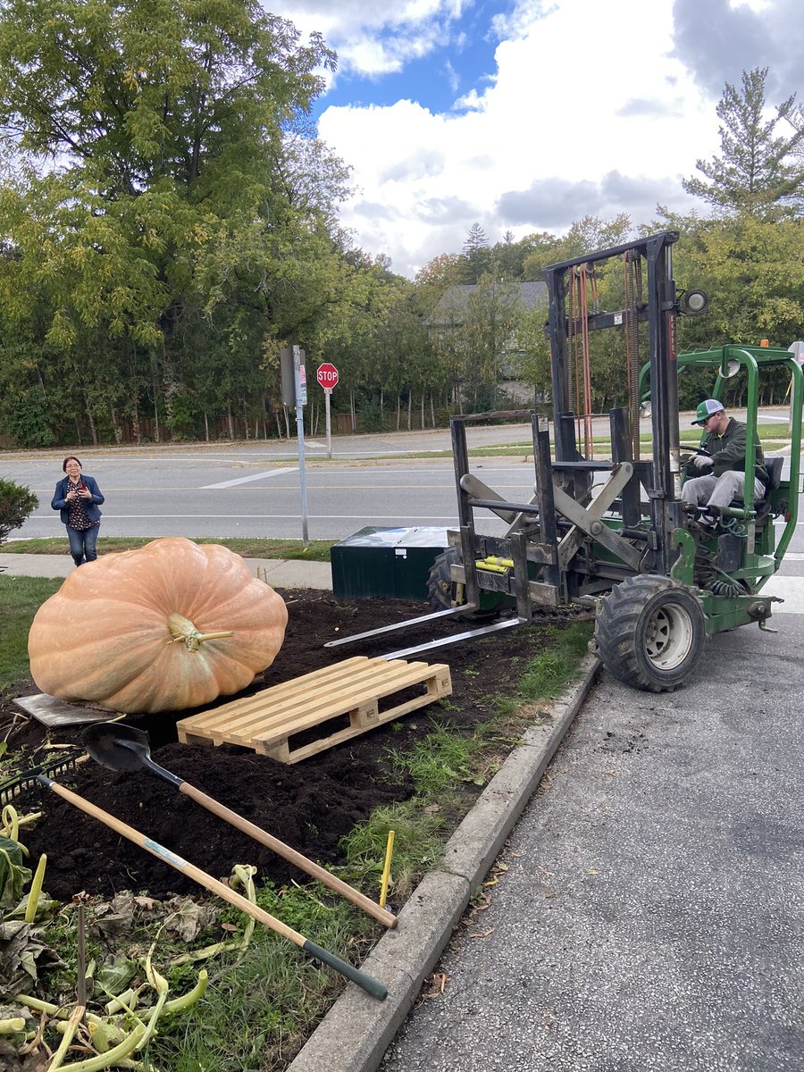 smilingsharonpr's tweet photo. @markhamfair Hopefully it’s our giant pumpkin!!! https://t.co/UmmjgcAyAU