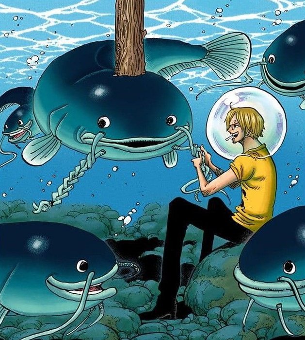 andi 🍋 ceo of sanji tweet media