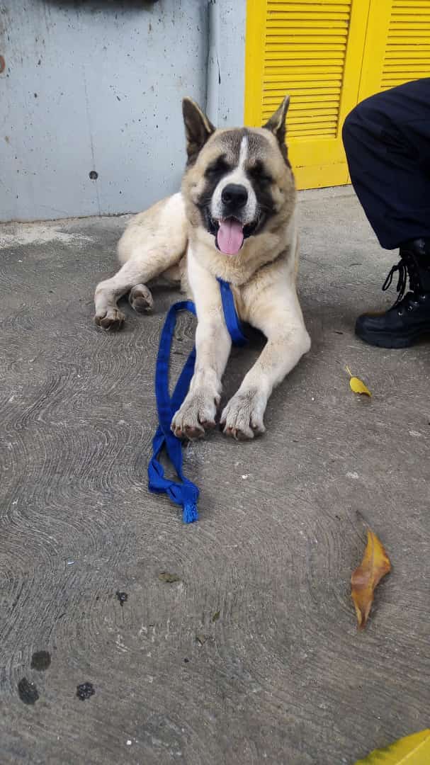 Colinas de Bello Monte tweet media