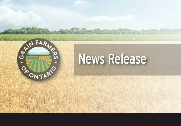 GrainFarmers's tweet photo. Innovators wanted: Grains Innovation Fund is now open. https://t.co/xoh9guzInU #marketdevelopment #ontag #ontariofood #bioindustrial #bioproducts #beer #whisky #innovation #ontariospirits #agrifood #plantbased #grainhandling #biomaterials #biofibres #foodprocessing https://t.co/r5JczyZtGb