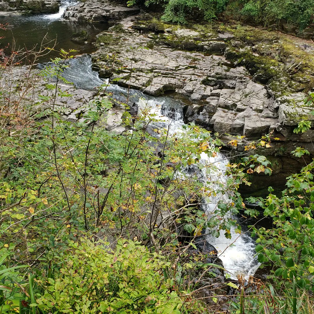 LaurelSchuett's tweet photo. Lovely walk and visit with a fellow Peaker Fiona Hendrie today. #fallsofclyde #MPC2022 #munrostepchallenge #scotland @MyPeakChallenge @SamHeughan @MPCFitlanders @Sheugs @barbaramills1 @sarahjaswim @pjl24 @ladybay8 @GHJNancy @MoNigheanRuadh @blendedpeakers @pepster300 @10MinDQ https://t.co/MxMDCPz0Fj