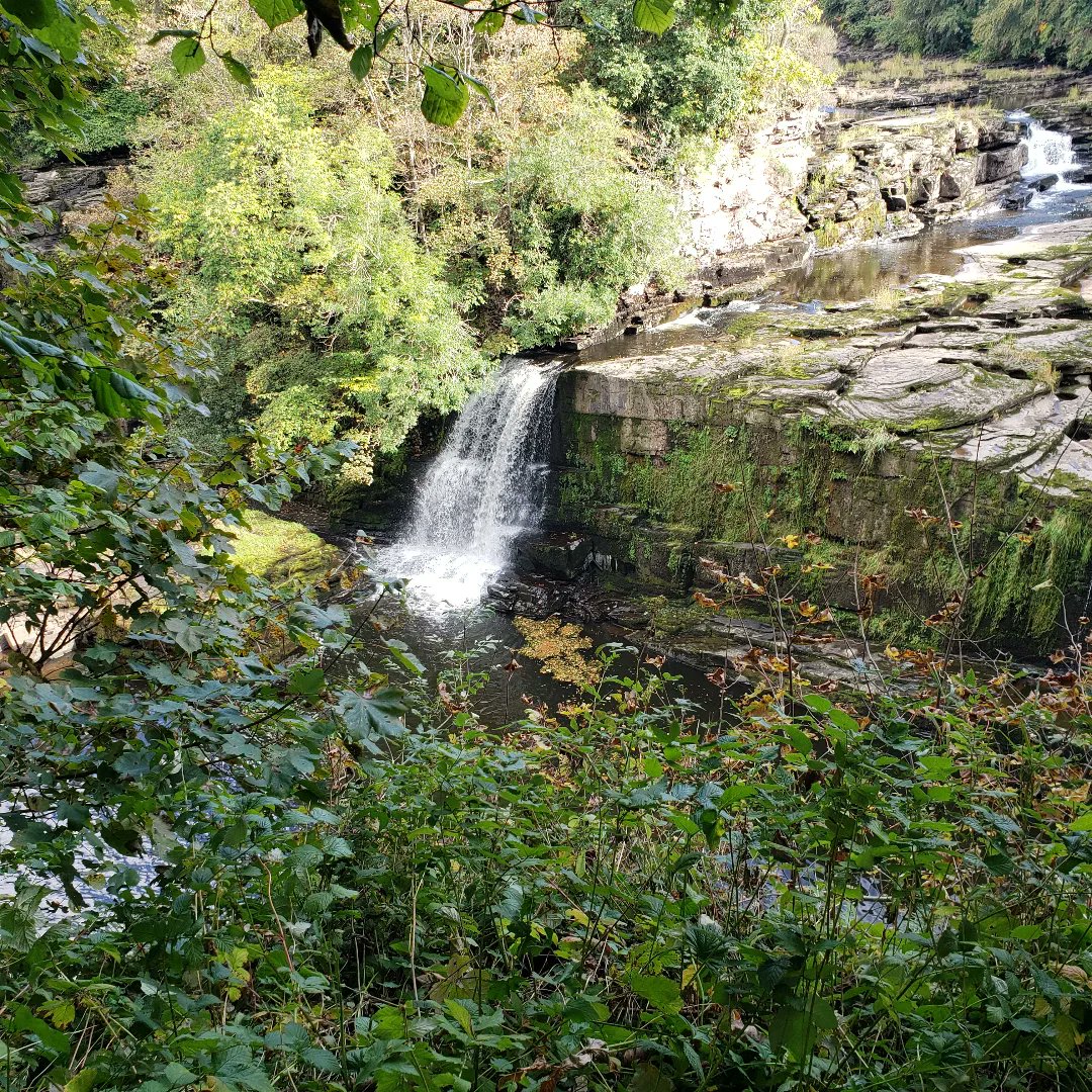 LaurelSchuett's tweet photo. Lovely walk and visit with a fellow Peaker Fiona Hendrie today. #fallsofclyde #MPC2022 #munrostepchallenge #scotland @MyPeakChallenge @SamHeughan @MPCFitlanders @Sheugs @barbaramills1 @sarahjaswim @pjl24 @ladybay8 @GHJNancy @MoNigheanRuadh @blendedpeakers @pepster300 @10MinDQ https://t.co/MxMDCPz0Fj