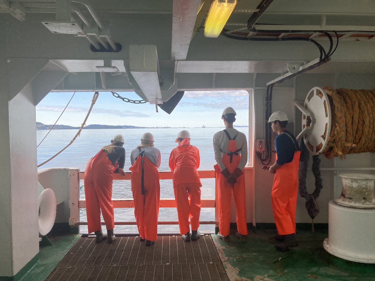 Moments of calm at sea: students waiting for the next trawl catch to come in #BIO325 #fjordcruise