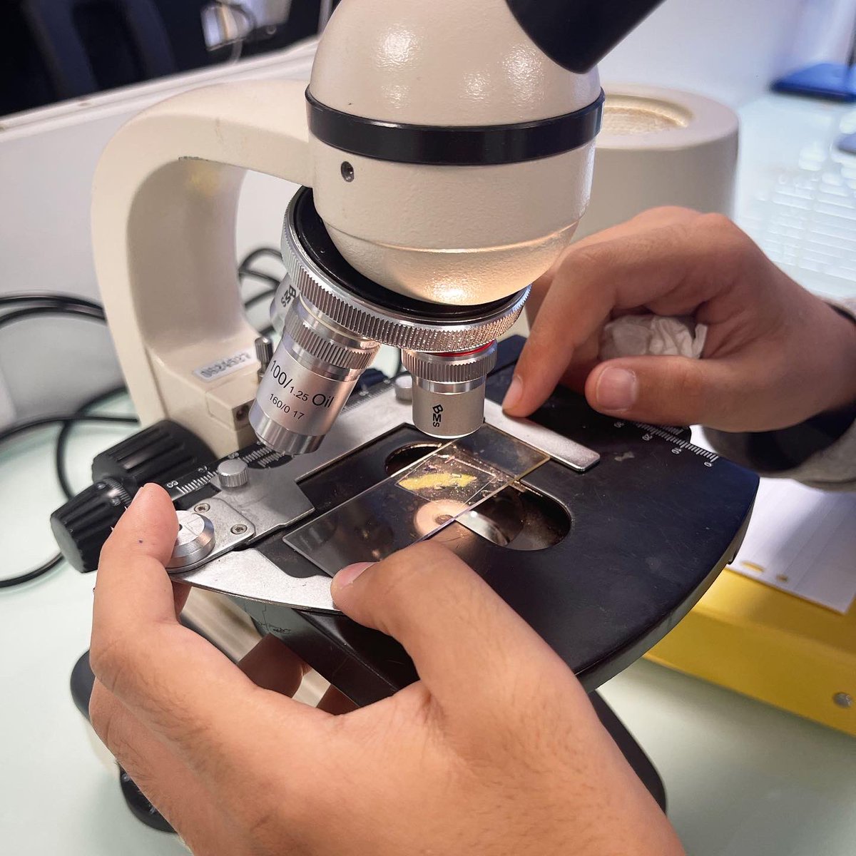 InstPriveAlif's tweet photo. [📸] En cours de biologie, Mohammed découvre le monde microbien.

C’est toute une expérience qu’ont mené nos élèves de 3ème en cours de science. Pour observer les microbes au microscope, ils ont suivi tout un processus. https://t.co/kfsrYkGpLZ
