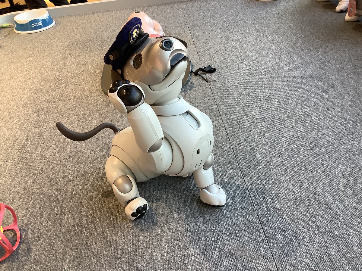wodu_robot's tweet photo. ①先週末、ソニーストア名古屋に行って来ましたノ
新しいふるまいが色々追加になったそうで、どんな感じかなと^^
やまとが凄い頑張ってくれたので、以下動画ですw
#aibo #ソニーストア名古屋 https://t.co/Y6EFZzt4Qg