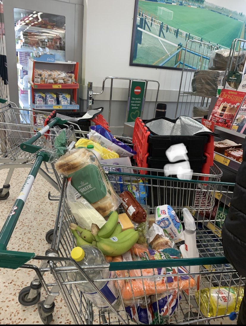 TILLY ROBINSON-MILES FRGS (she/her) 🌻 tweet media