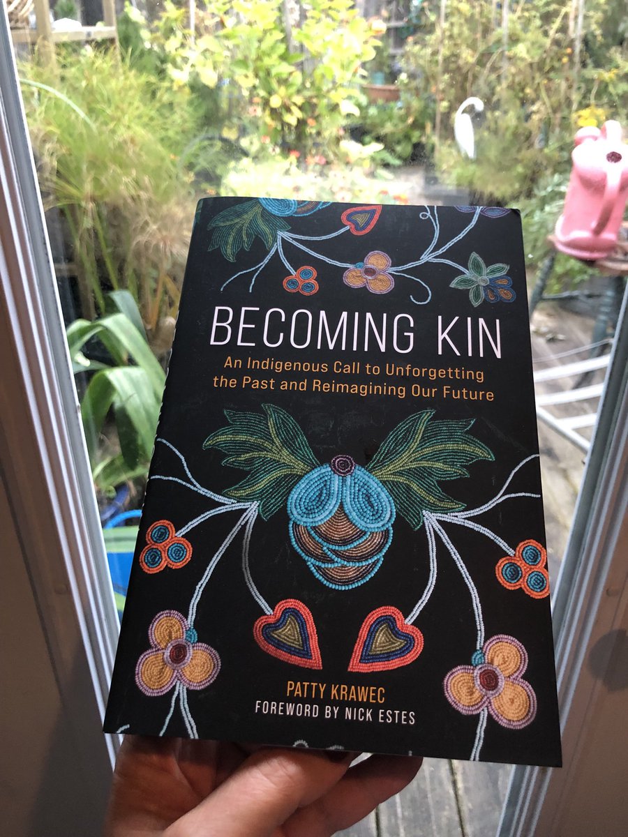 My copy arrived thank you ⁦@gindaanis⁩ 🤓#BecomingKin