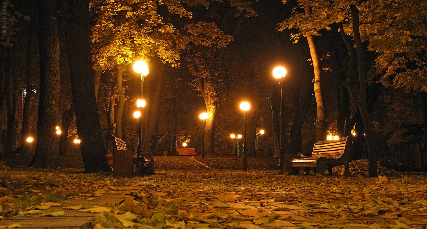 Осенний парк вечером