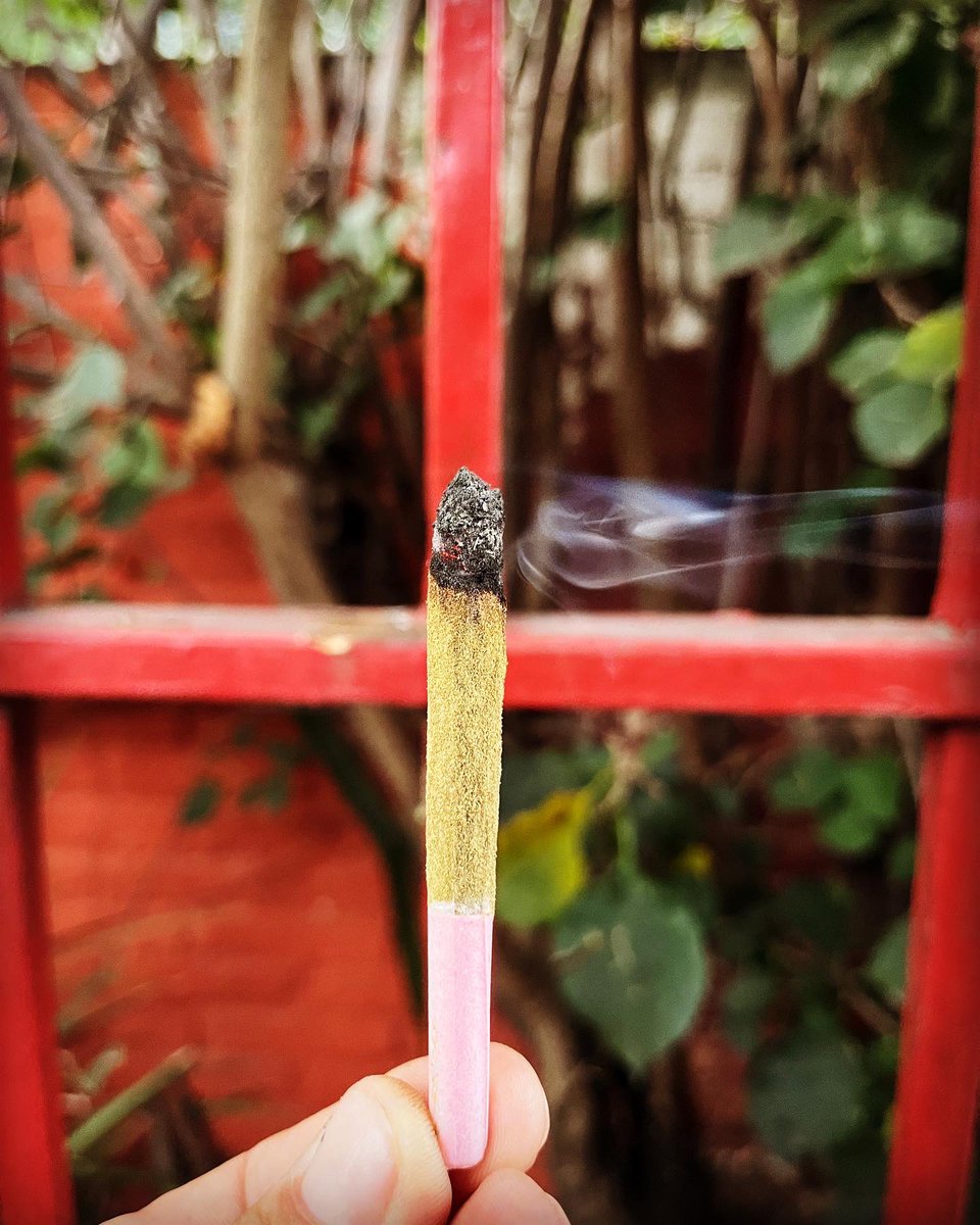 toqueyrol420's tweet photo. Buenos humos, Banda. 
Iniciamos el día laboral con un gallito de #BalaAtomico — #Chocolope - pre rolado empanizado - 
:::
#cannabis #marihuana #weed #mexico #cuernavaca #morelos #mexico420 
::

@BalaAtomico https://t.co/CdQYcngpl1