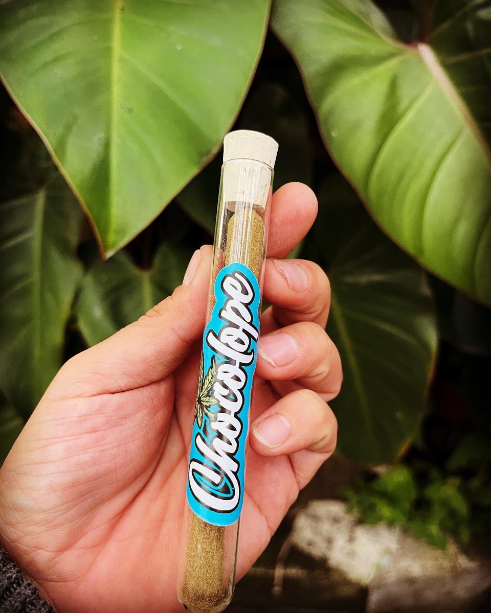 toqueyrol420's tweet photo. Buenos humos, Banda. 
Iniciamos el día laboral con un gallito de #BalaAtomico — #Chocolope - pre rolado empanizado - 
:::
#cannabis #marihuana #weed #mexico #cuernavaca #morelos #mexico420 
::

@BalaAtomico https://t.co/CdQYcngpl1