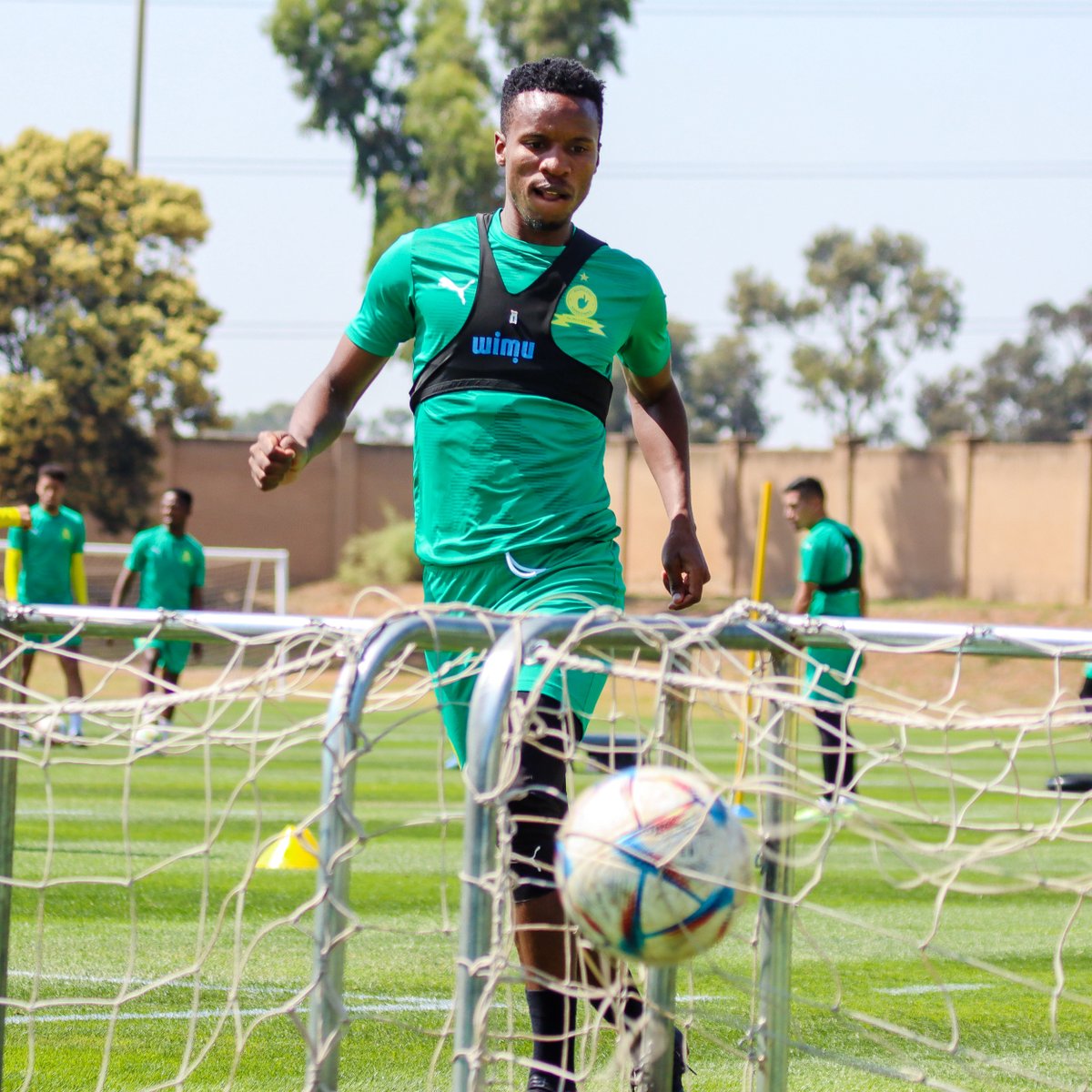 Masandawana's tweet photo. Getting ready to return to action in the #MTN8! 🎯

#Sundowns https://t.co/fGlKhkMnLH
