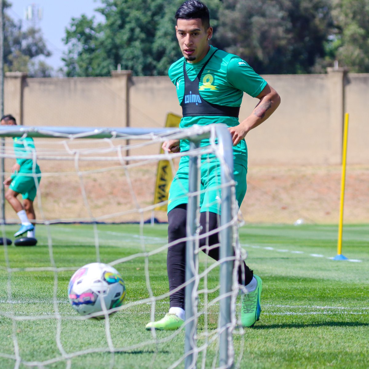 Masandawana's tweet photo. Getting ready to return to action in the #MTN8! 🎯

#Sundowns https://t.co/fGlKhkMnLH