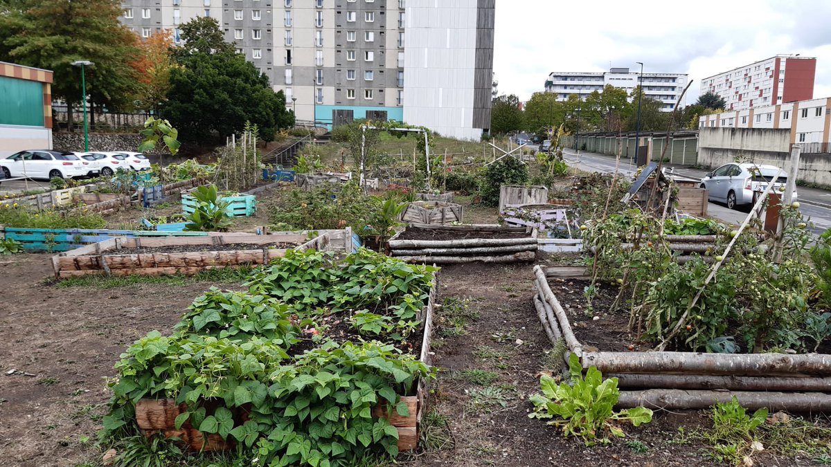 La <a href="/Fondation_EDF/">Fondation groupe EDF</a> soutient le centre social Gisèle Halimi d'Allonnes (72) à hauteur de 5000€ pour ses actions dans le cadre de la semaine du développement durable, et notamment son jardin partagé ! Belle mobilisation en faveur de la préservation de la nature ! 🍀