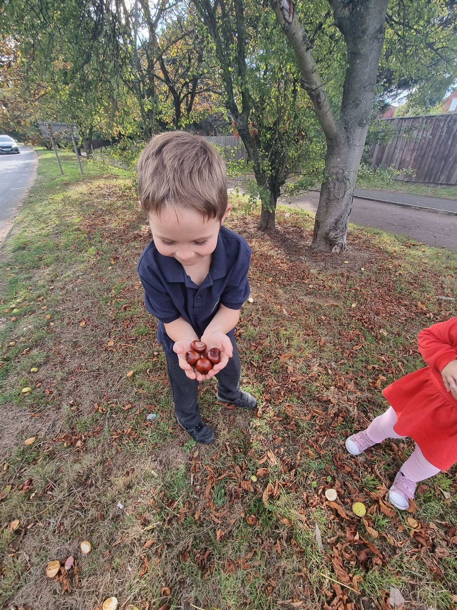 TiffanyR1519's tweet photo. Oscar's new favourite  activity to do after school he wanted me to show you all his conkers @uptonclass3JB @uptonclass2MF https://t.co/OT6aklMh4T