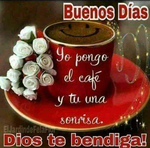 socorroruizperez (@socorroruizper1) on Twitter photo 