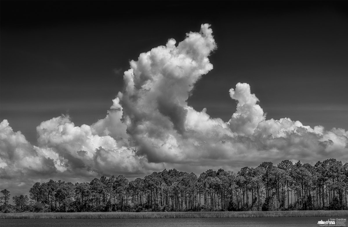 mnmlst_com's tweet photo. Estuary with pine hammock and clouds. #estuary #pinehammock #bw #mnmlst #minimalism #minimalist #minimal #minimalistic #minimalistics #minimalobsession #photooftheday #minimalista #minimalismo #lessismore #blackandwhite #black #white #bnw #mono #bw_lover #monochrome #bwoftheday https://t.co/QBUCM96QUC