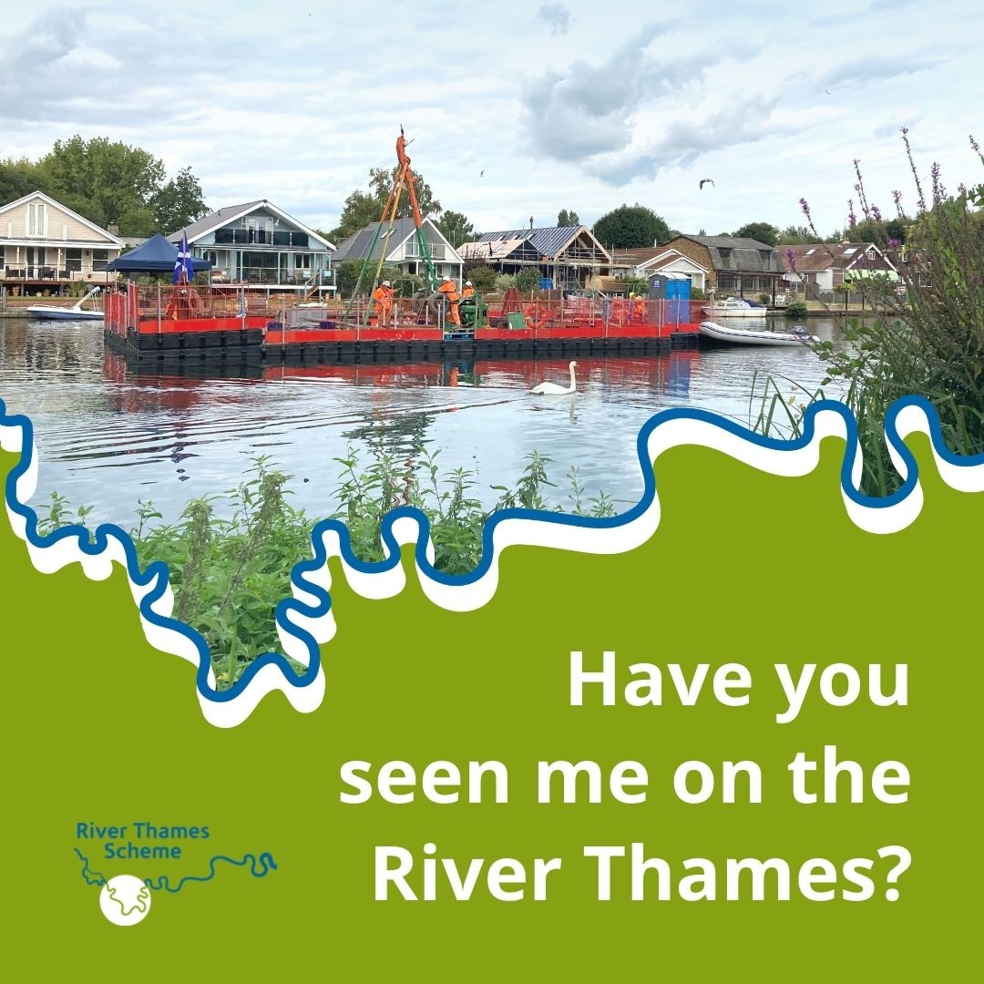 This Autumn the River Thames Scheme is doing some sediment sampling to help guide our designs. We are currently at Walton Bridge and will be spotted at a number of locations along the river in the coming months. To find out what we're up to, go to: orlo.uk/X845h