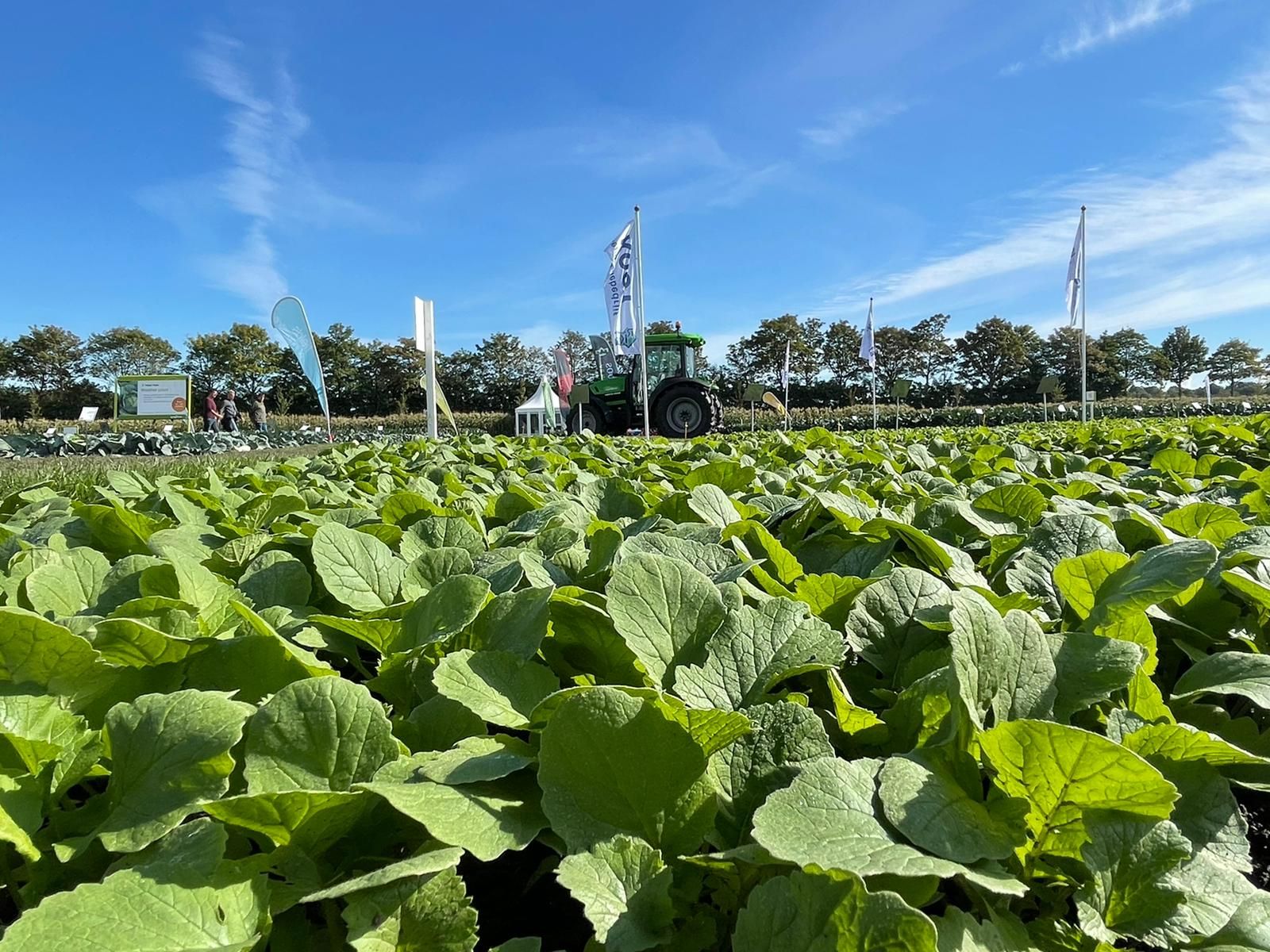 Syngenta Syngenta Twitter