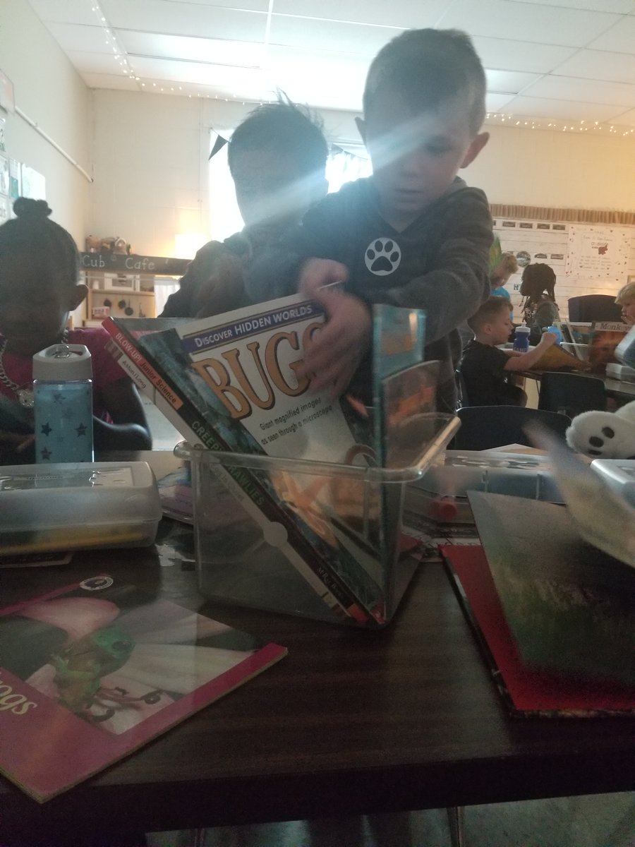 Room 12 Cubs were so excited and engaged with our Learn About the World books!  Non-fiction books let us learn about some our favorite topics from both the words AND the pictures! <a href="/Creeksidetweet/">Creekside ECS</a> #needtosuceedCECS