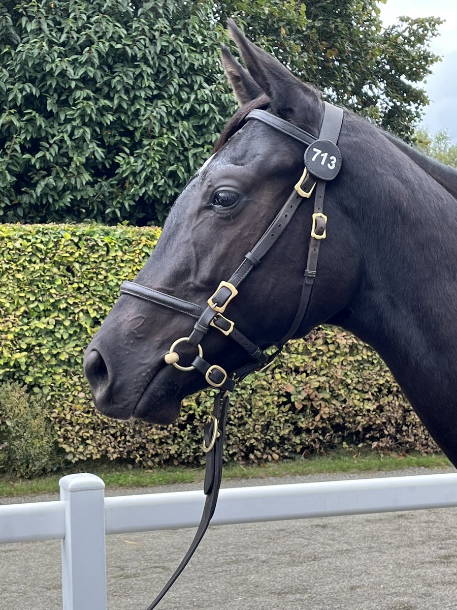 Beverley O'Keeffe tweet media