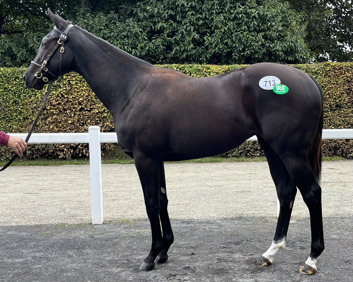 Beverley O'Keeffe tweet media