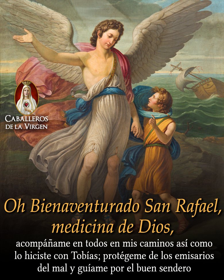 Caballeros de la Virgen tweet media