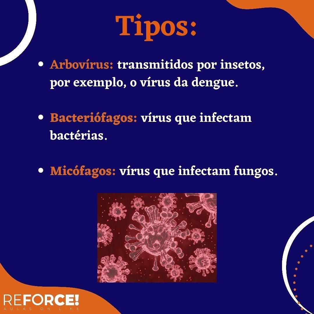 ReforceOnline's tweet photo. DICA DE QUINTA 🤪: Você sabe quem são os vírus? Vem com a gente que nós te explicamos!!! 🦠🦠🦠

Gostou? Já curte, salva, compartilhe e segue a Reforce pra não perder nenhuma dica. 😉

Até semana que vem! 👋 https://t.co/paiAuX6Gbe