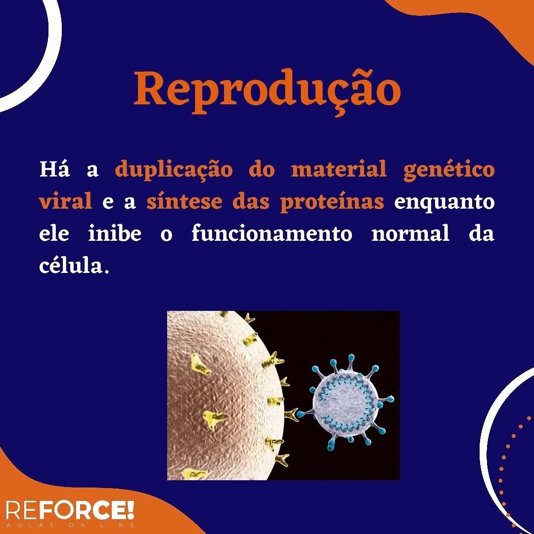 ReforceOnline's tweet photo. https://t.co/rnZPrEOQZp