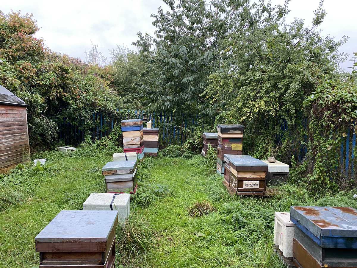 Spacehive's tweet image. The rain didn’t stop us from dropping by at @mwconnected and seeing the @Pure_buzzin bees for ourselves! Over 50 backers including @NorthTyneCA helped Stephen get this project off the ground 🐝🐝🐝