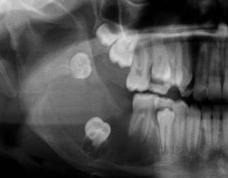 Ali Khurram tweet media