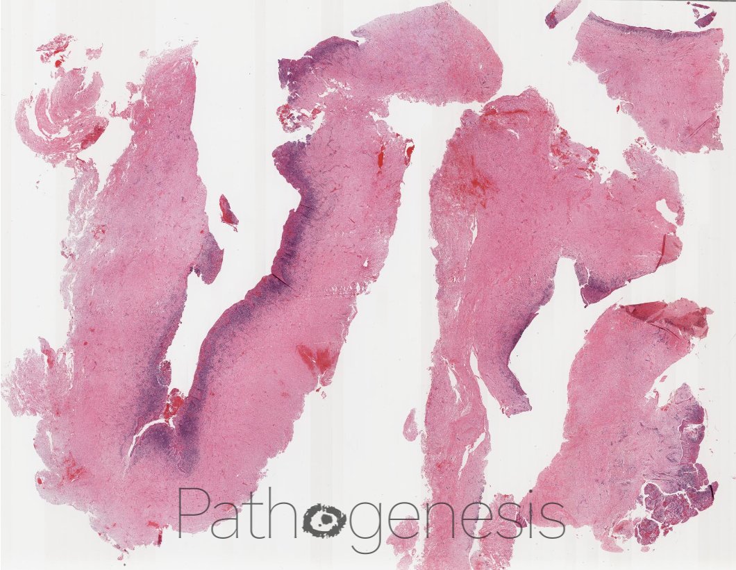 Ali Khurram tweet media