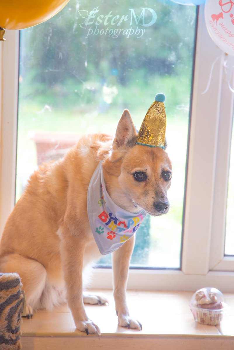 Ester Mira D. photography tweet media