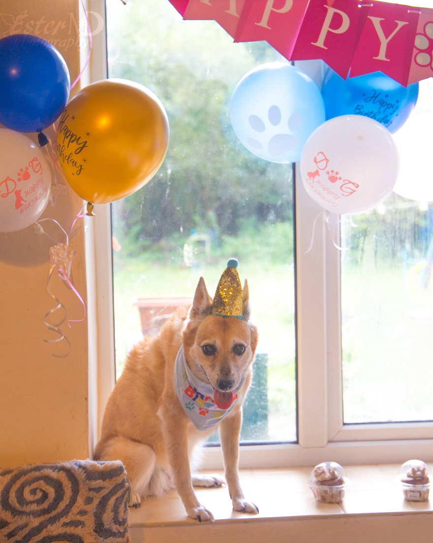 Ester Mira D. photography tweet media