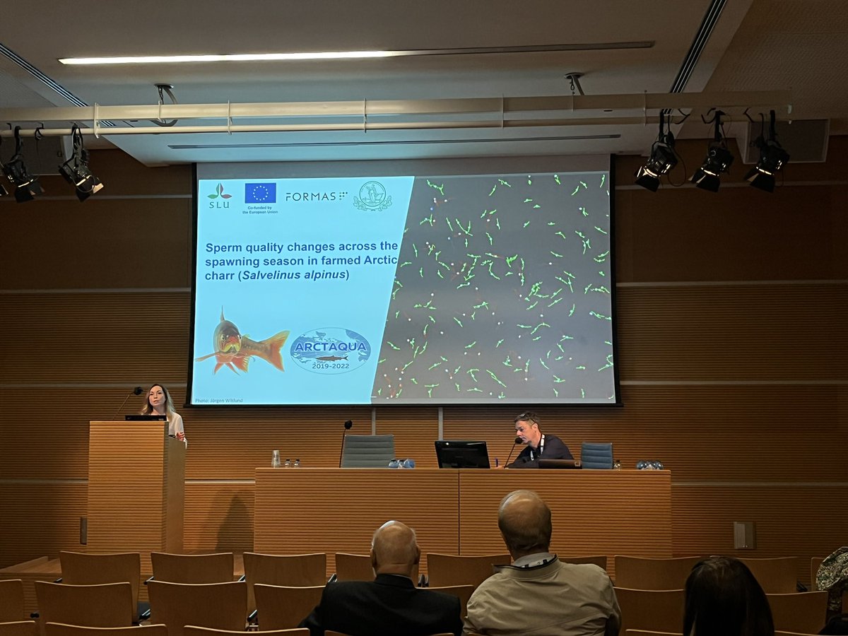 James Hinchcliffe tweet media