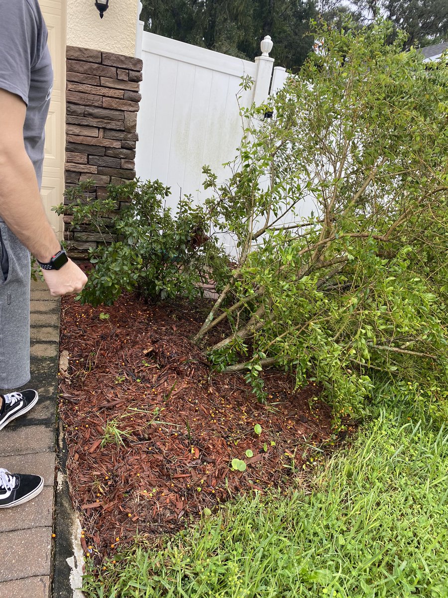 Ambo821's tweet photo. Held on to power til about 2 am…. And woke up to only minimal damage… counting ourselves lucky, and thank goodness for generators! #HurricaneIan #PolkCounty https://t.co/5eI9pnubCG