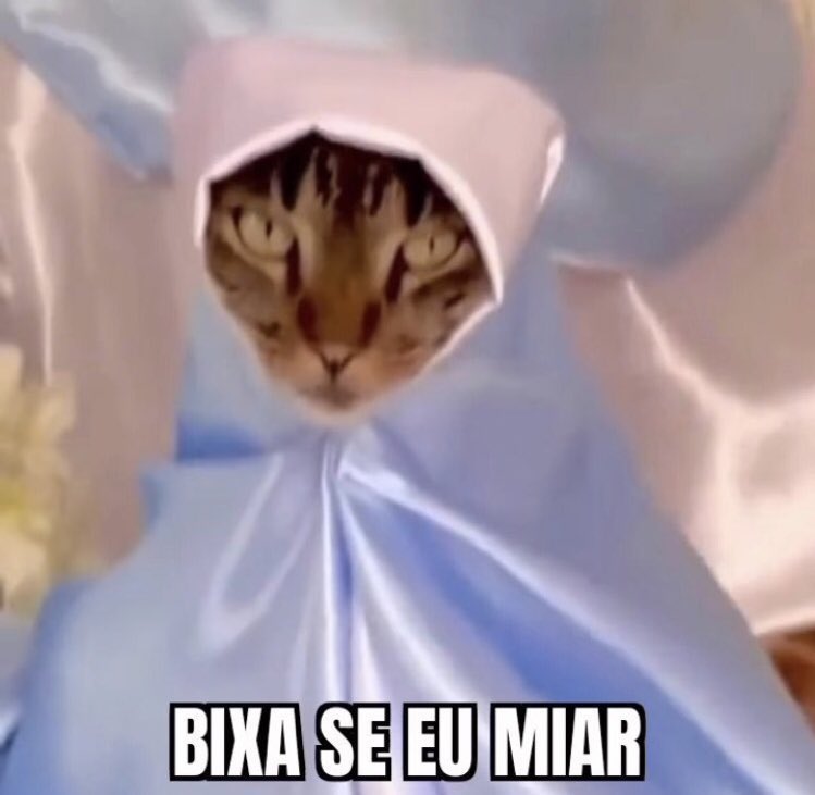 Edy_Satur's tweet photo. @siteptbr O gato assim. Kkkkkkkkk https://t.co/lsFtB6AJnE