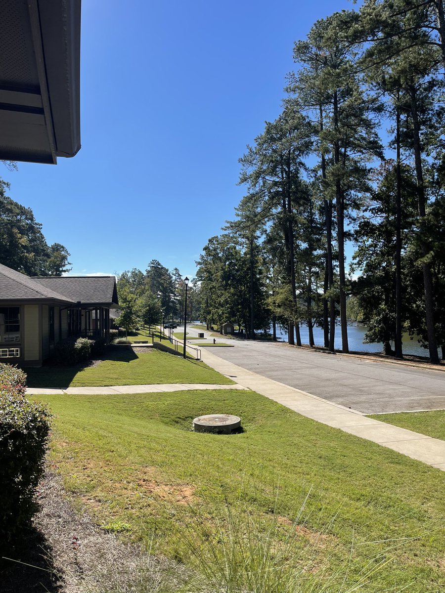 Emily Childs tweet media