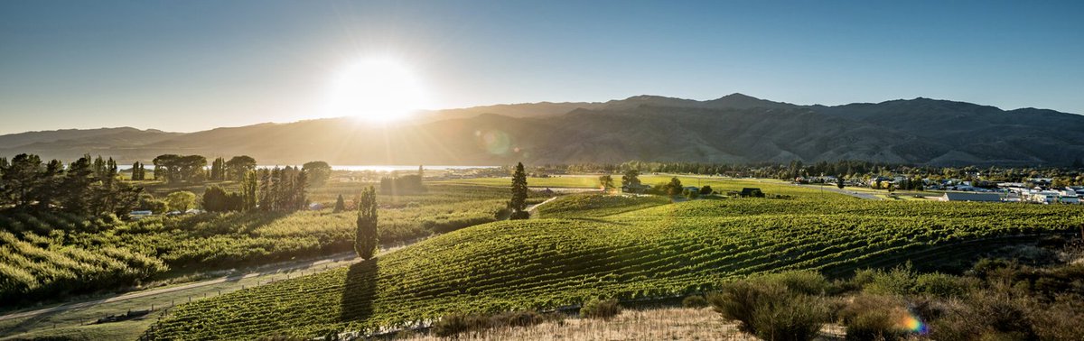 Book Now for an Unforgettable Winter Getaway - mailchi.mp/intothevineyar…