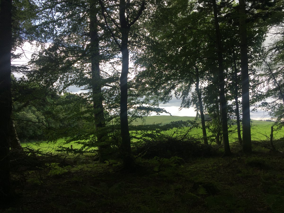 FolkloreScot's tweet photo. Today we have another brilliant tale from Glasgow and Clyde by one of our contributors, Kevin! This is the legend of Cora Linn, and the story of the maiden that gave the falls her name...  

https://t.co/uLK2kmCGLL 

#folklore #scotland #scottishfolklore #mythology #storytellling https://t.co/SkJ9gZbxBI