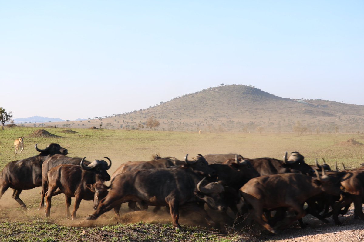 johnny_rio's tweet photo. @jontaffer Tanzania! https://t.co/ENEcHrIcyJ